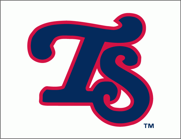 Tennessee Smokies 2010-Pres Cap Logo iron on transfers for T-shirts